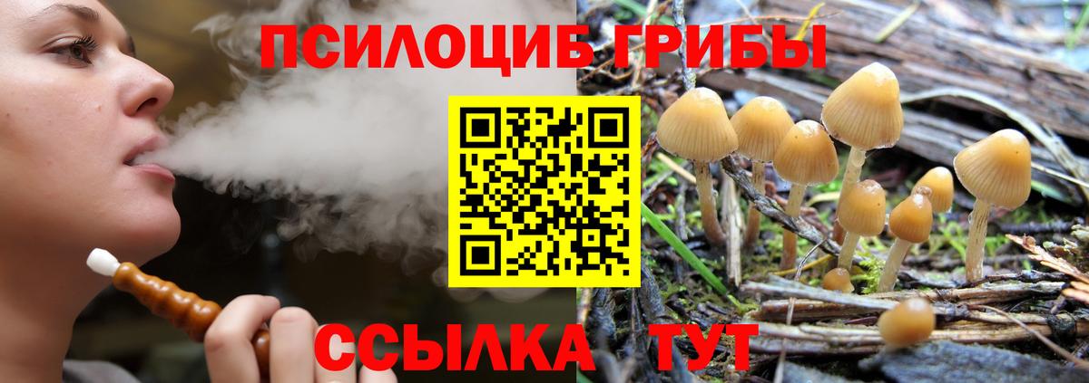 Псилоцибиновые грибы Cubensis Советский