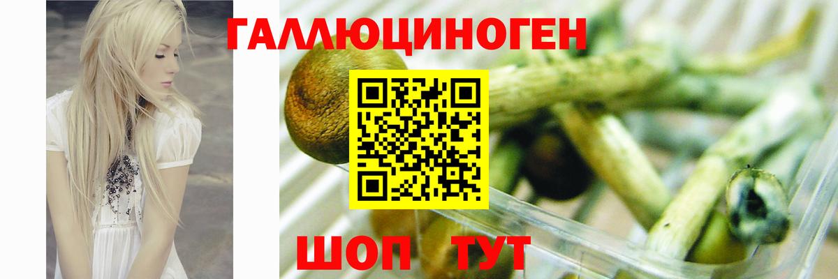 купить закладку  Галлюциногенные грибы мухоморы  Вход с VPN  Советский 